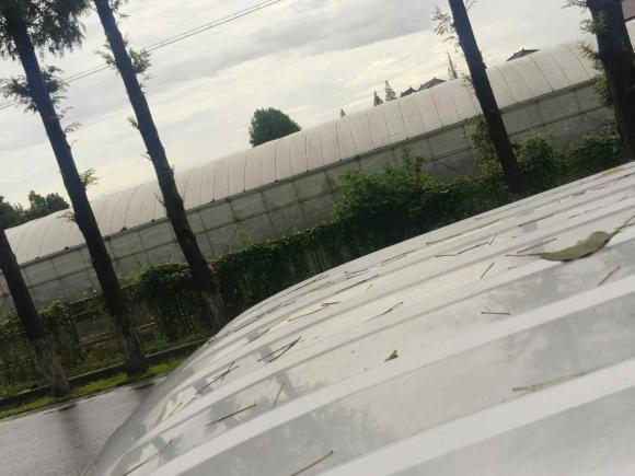 [上海·苏U] 二手金杯金杯金卡S22023款 1.6L 手动双排2.51米货厢后单轮舒享型SWJ16