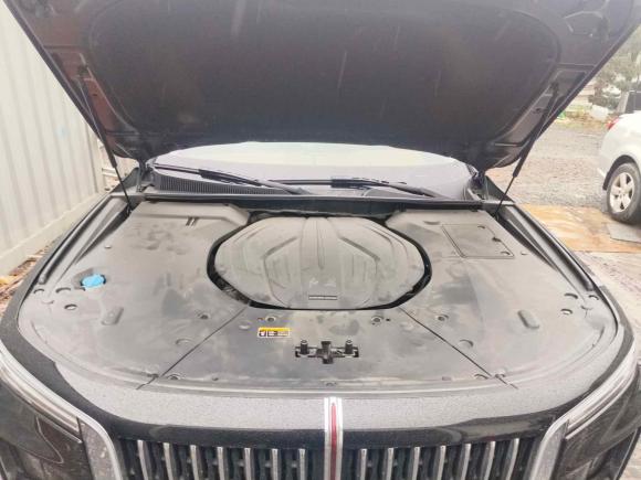 [上海·沪C] 二手红旗红旗H92020款 2.0T 智联旗享版