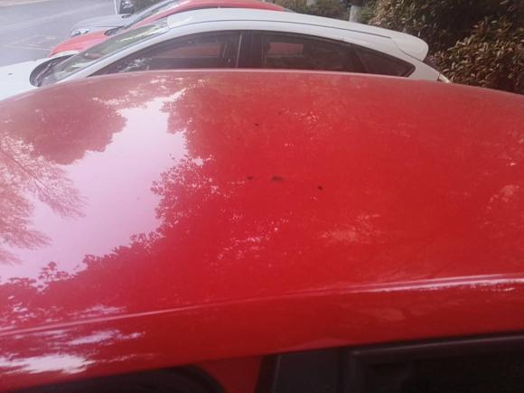 [常州·苏D] 二手大众Polo2013款 1.4L 自动舒适版