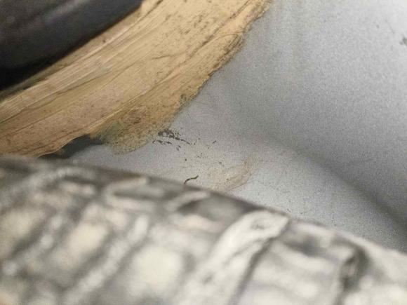 [深圳·粤B] 二手哈弗哈弗H62017款 蓝标 运动版 1.5T 自动两驱豪华型