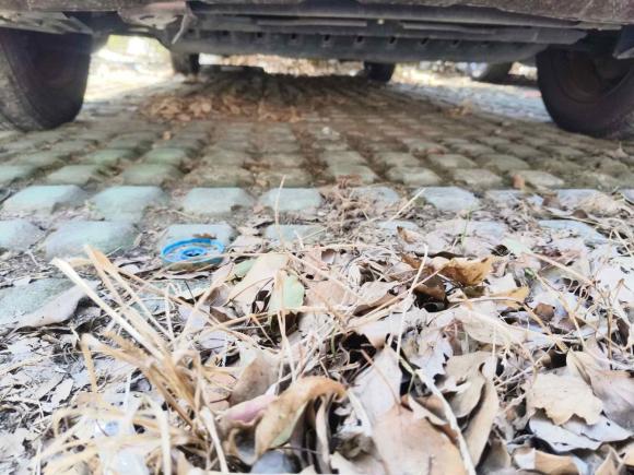 [苏州·苏U] 二手五菱汽车五菱宏光2020款 1.2L S基本型国VI LSI