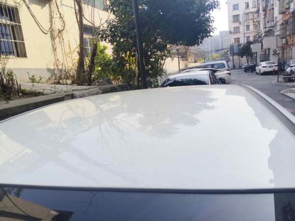 [南京·苏A] 二手本田凌派2019款 180Turbo CVT舒适版 国V