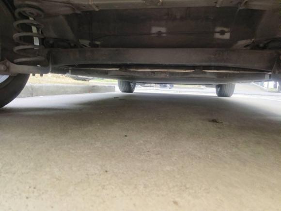 [上海·沪A] 二手比亚迪海豚2023款 420km 时尚版