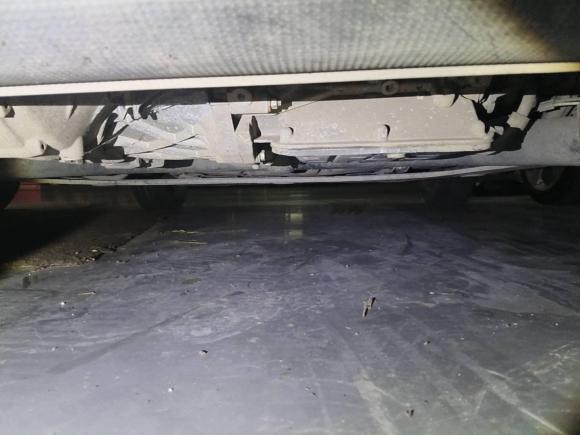 [杭州·浙A] 二手smartsmart fortwo2015款 1.0L 52千瓦硬顶灵动版