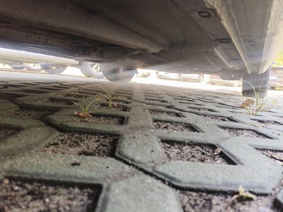 [上海·沪C] 二手大众宝来2018款 1.5L 手动时尚型