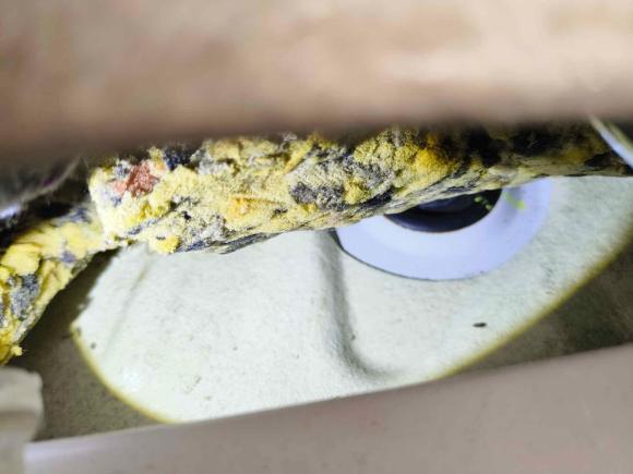 [武汉·鄂A] 二手丰田卡罗拉2009款 1.8L 自动GLX-i特别纪念版