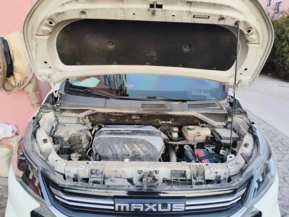 [青岛·鲁H] 二手大通大通G502020款 1.5T 自动豪华版