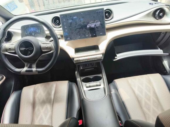 [上海·沪A] 二手比亚迪海豚2023款 420km 自由版