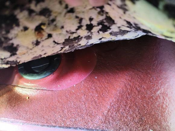 [深圳·粤S] 二手丰田威驰2017款 1.5L CVT创行版