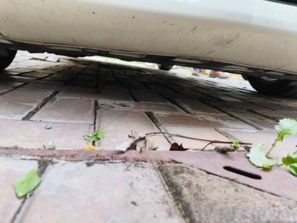 [上海·沪J] 二手奔驰奔驰B级2009款 B 200 时尚型