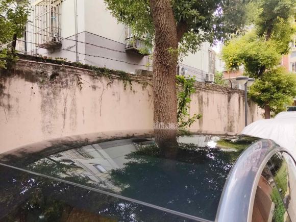 [上海·沪A] 二手欧拉欧拉闪电猫2022款 555km 尊贵版