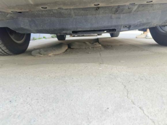 [上海·豫A] 二手哈弗哈弗H62015款 改款 运动版 1.5T 手动两驱精英型