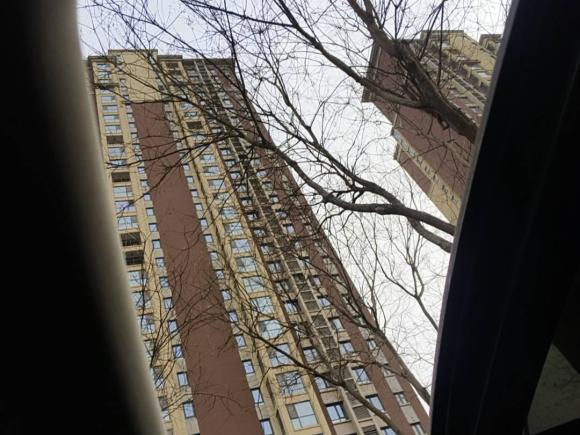 [西安·陕U] 二手领克领克022019款 高能版 2.0T 自动两驱耀版 国VI