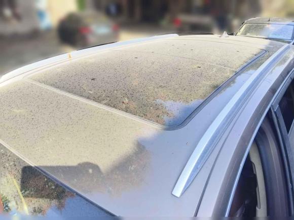 [佛山·粤Y] 二手别克昂科威Plus2014款 28T 四驱精英型