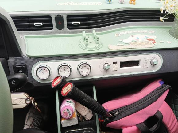 [嘉兴·浙F] 二手五菱汽车宏光MINIEV2021款 马卡龙臻享款 三元锂