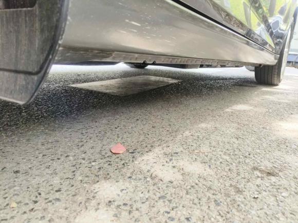 [上海·沪C] 二手日产轩逸2025款 1.6L CVT真心版