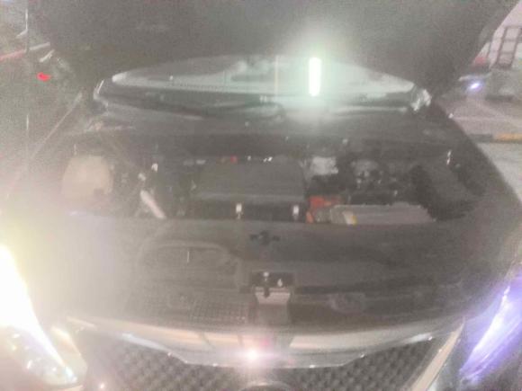 [上海·沪A] 二手比亚迪唐新能源2015款 2.0T 四驱旗舰型