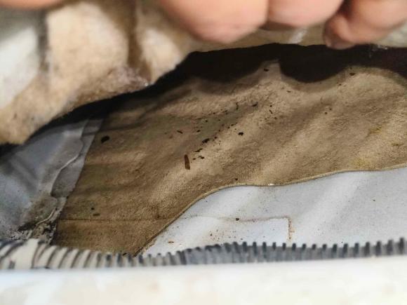 [西安·陕A] 二手哈弗哈弗M62017款 1.5T 自动两驱精英型