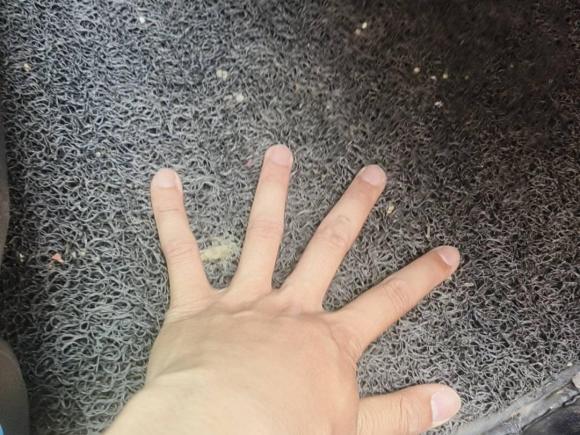 [嘉兴·浙F] 二手本田雅阁2018款 260TURBO 豪华版 国V