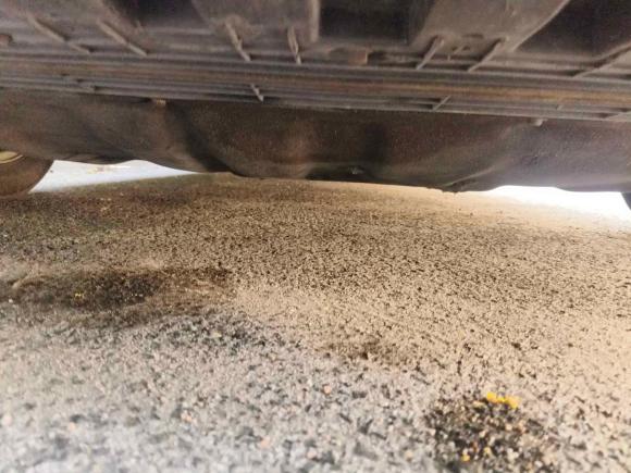 [青岛·鲁U] 二手福特福克斯2019款 两厢 EcoBoost 180 自动锋潮型