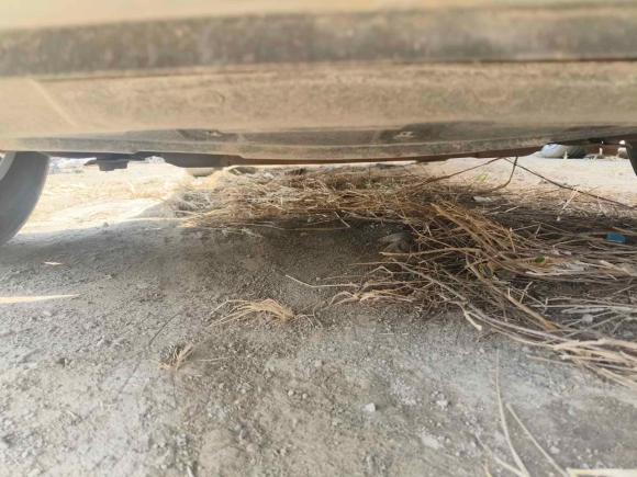 [济南·鲁A] 二手中华中华V62018款 1.5T 自动豪华型