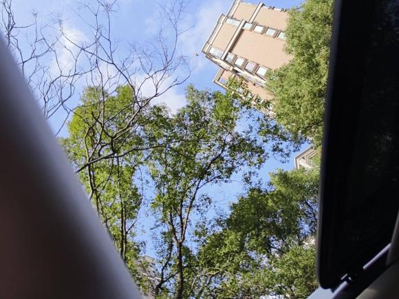 [上海·沪L] 二手比亚迪唐新能源2015款 2.0T 四驱旗舰型