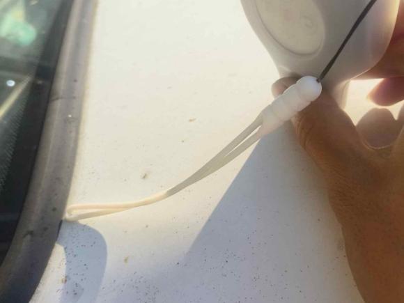 [湖州·浙E] 二手福特经典全顺2016款 2.8T柴油短轴6座中顶多功能车JX493ZLQ4