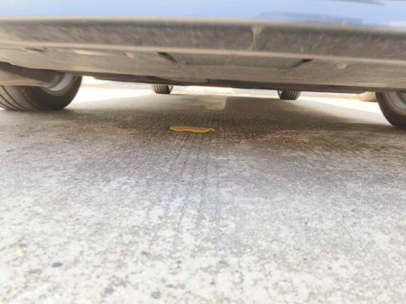 [苏州·苏B] 二手马自达马自达3 昂克赛拉2023款 2.0L 自动质雅版