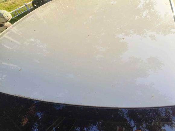 [西安·陕A] 二手大众捷达2015款 1.4L 手动时尚型