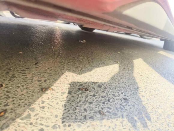 [南昌·赣A] 二手领克领克032018款 1.5TD DCT劲版 国V