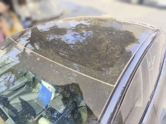 [杭州·粤A] 二手特斯拉Model 32020款 改款 标准续航后驱升级版