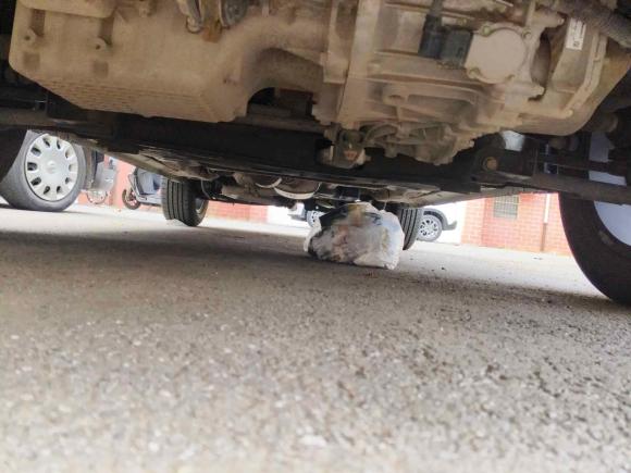 [青岛·鲁U] 二手奇瑞瑞虎72020款 7i 1.5T 自动智领版