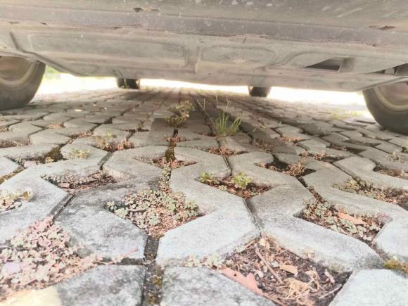 [嘉兴·浙F] 二手大众朗逸2013款 改款经典 1.6L 自动舒适版