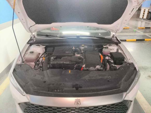 [温州·浙C] 二手比亚迪秦PLUS2023款  冠军版 DM-i 120KM超越型