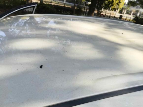 [上海·沪C] 二手别克别克GL82018款 28T 舒适型 国VI