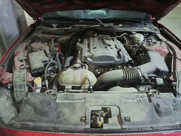 [济南·鲁A] 二手福特Mustang2017款 2.3T 性能版