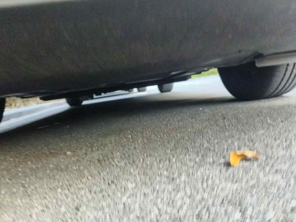 [上海·沪A] 二手比亚迪比亚迪e22023款 舒适型