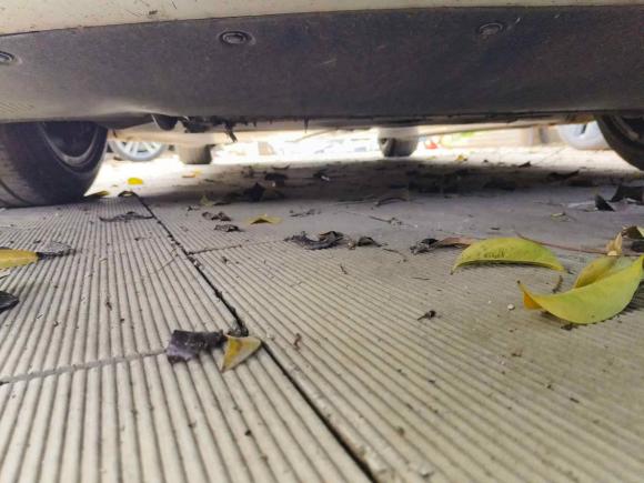 [成都·川A] 二手特斯拉Model 32019款 标准续航后驱升级版