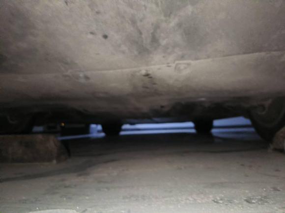 [合肥·皖A] 二手特斯拉Model Y2021款 标准续航后驱版