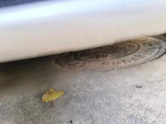 [青岛·鲁B] 二手长安奔奔EV2018款 EV260 标准型