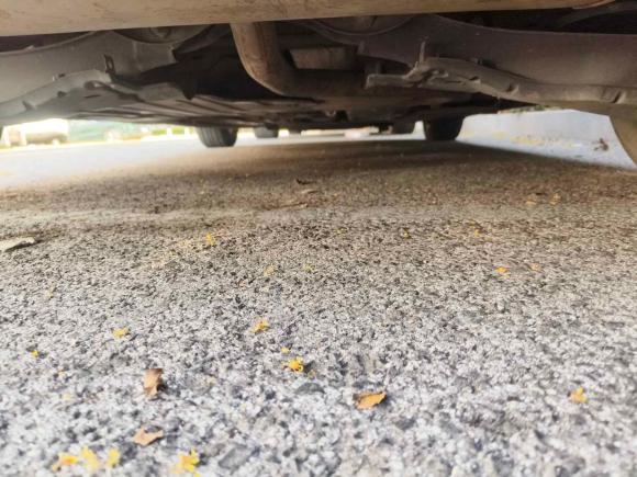 [青岛·鲁U] 二手福特福克斯2019款 两厢 EcoBoost 180 自动锋潮型