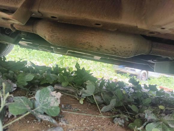 [广州·粤A] 二手五菱汽车五菱征程2021款 1.5T 手动舒适型封窗版