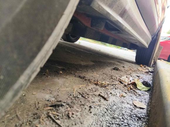 [上海·沪A] 二手比亚迪元Pro2021款 401KM 尊贵型