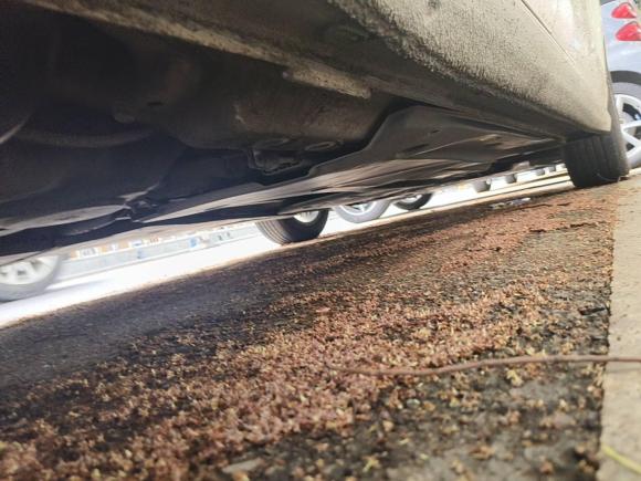 [温州·浙C] 二手大众凌渡2017款 230TSI DSG风尚版