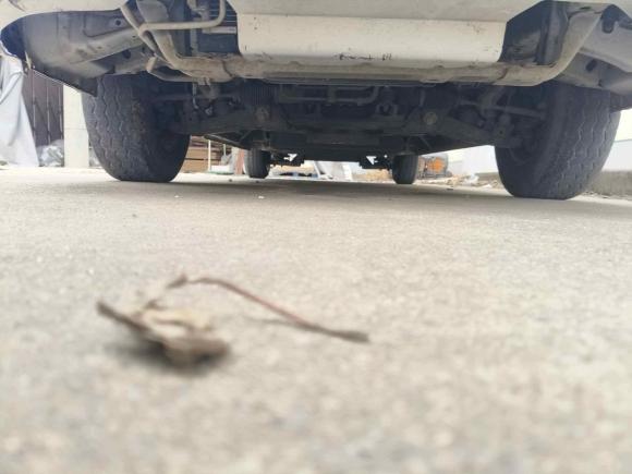 [上海·沪A] 二手福田风景智蓝G7新能源2022款 厢式运输车长轴高顶2座宁德时代50.23kWh