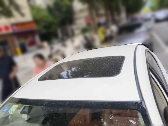 [成都·川A] 二手丰田卡罗拉2008款 1.8L 自动GL-i天窗特别版