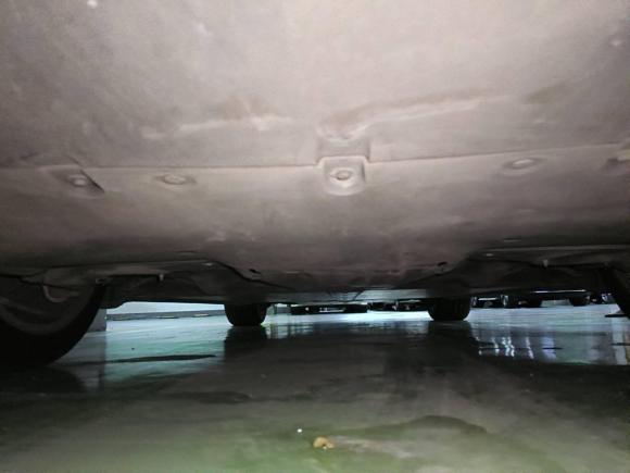 [佛山·粤A] 二手特斯拉Model Y2021款 标准续航后驱版