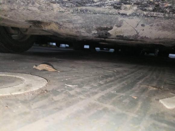 [合肥·皖A] 二手奥迪奥迪A4L2024款 40 TFSI 时尚动感型