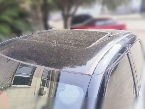 [杭州·浙A] 二手本田冠道2017款 240TURBO 两驱尊享版