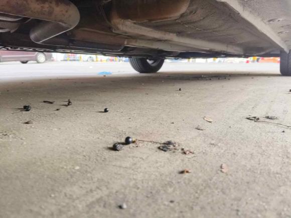 [南京·苏A] 二手现代朗动2015款 1.6L 自动时尚型